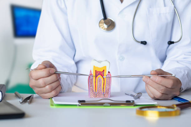 Best Emergency Tooth Extraction  in Cypress Landing, NC